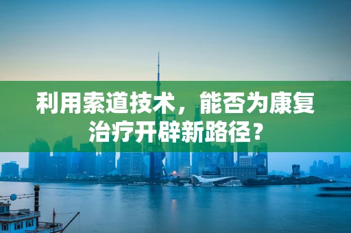 利用索道技术，能否为康复治疗开辟新路径？