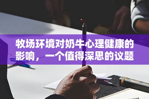 牧场环境对奶牛心理健康的影响，一个值得深思的议题