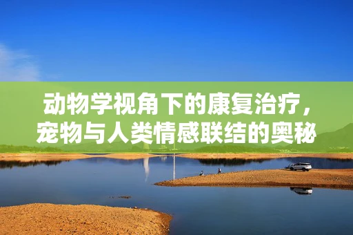 动物学视角下的康复治疗，宠物与人类情感联结的奥秘