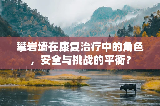 攀岩墙在康复治疗中的角色，安全与挑战的平衡？
