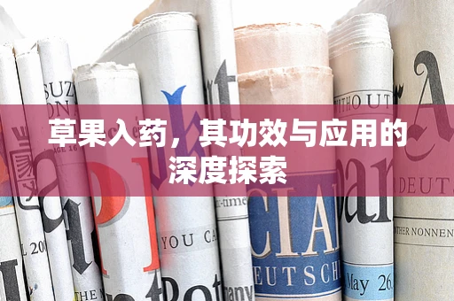 草果入药，其功效与应用的深度探索