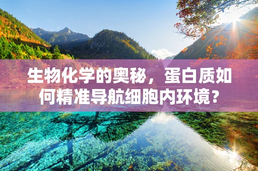 生物化学的奥秘，蛋白质如何精准导航细胞内环境？