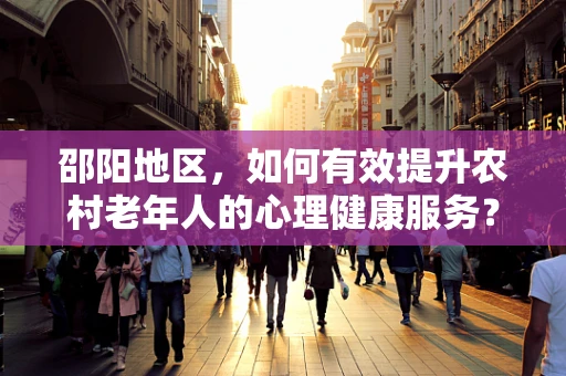 邵阳地区，如何有效提升农村老年人的心理健康服务？