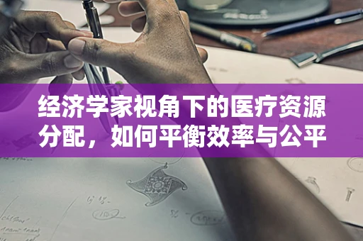 经济学家视角下的医疗资源分配，如何平衡效率与公平？