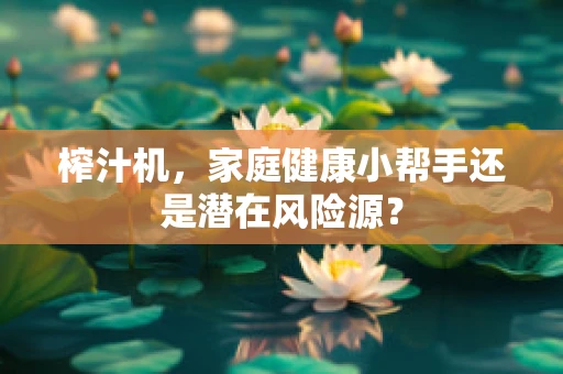 榨汁机，家庭健康小帮手还是潜在风险源？