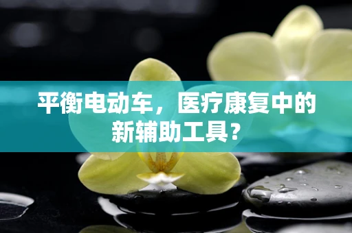 平衡电动车，医疗康复中的新辅助工具？