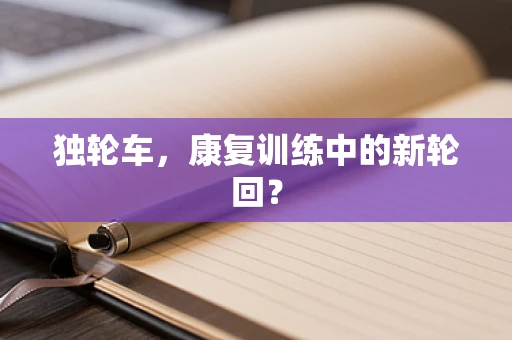 独轮车，康复训练中的新轮回？