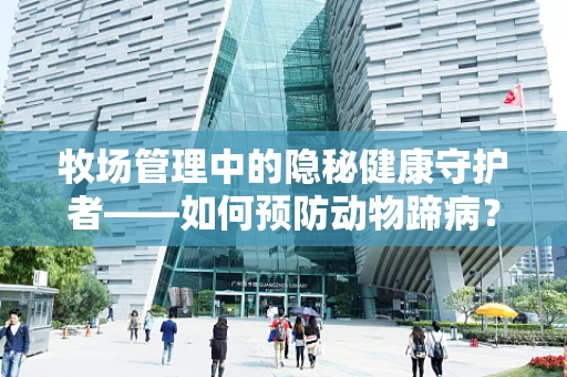 牧场管理中的隐秘健康守护者——如何预防动物蹄病？