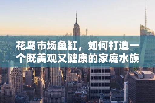 花鸟市场鱼缸，如何打造一个既美观又健康的家庭水族环境？