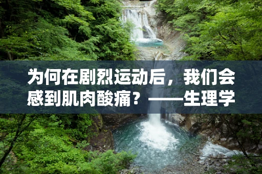 为何在剧烈运动后，我们会感到肌肉酸痛？——生理学视角下的运动后反应