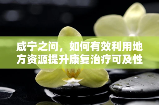 咸宁之问，如何有效利用地方资源提升康复治疗可及性？