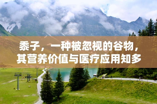 黍子，一种被忽视的谷物，其营养价值与医疗应用知多少？