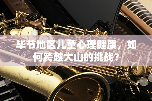 毕节地区儿童心理健康，如何跨越大山的挑战？
