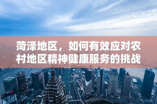 菏泽地区，如何有效应对农村地区精神健康服务的挑战？