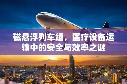 磁悬浮列车组，医疗设备运输中的安全与效率之谜