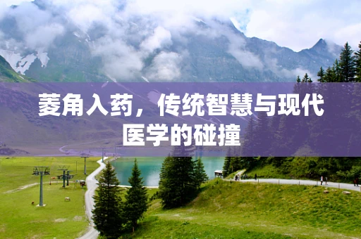 菱角入药，传统智慧与现代医学的碰撞