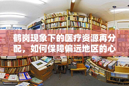 鹤岗现象下的医疗资源再分配，如何保障偏远地区的心理健康治疗？
