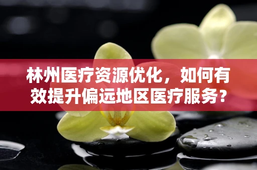 林州医疗资源优化，如何有效提升偏远地区医疗服务？