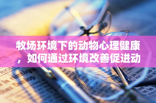 牧场环境下的动物心理健康，如何通过环境改善促进动物福祉？