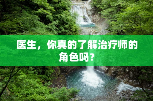医生，你真的了解治疗师的角色吗？