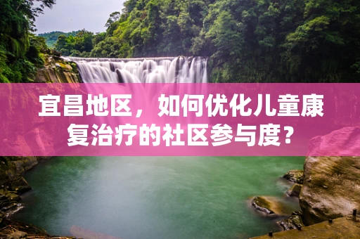宜昌地区，如何优化儿童康复治疗的社区参与度？