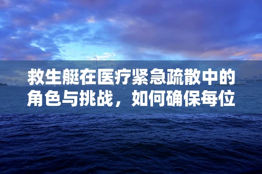 救生艇在医疗紧急疏散中的角色与挑战，如何确保每位患者安全撤离？