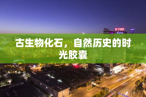 古生物化石，自然历史的时光胶囊