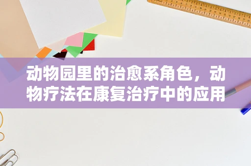 动物园里的治愈系角色，动物疗法在康复治疗中的应用