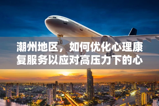 潮州地区，如何优化心理康复服务以应对高压力下的心理健康挑战？