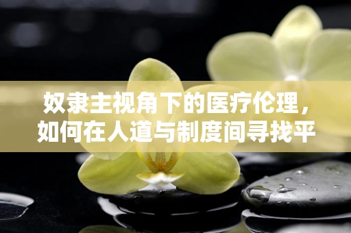 奴隶主视角下的医疗伦理，如何在人道与制度间寻找平衡？