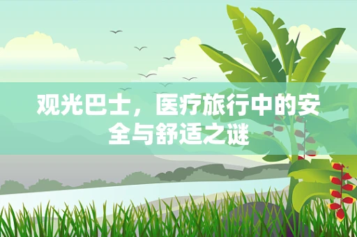 观光巴士，医疗旅行中的安全与舒适之谜