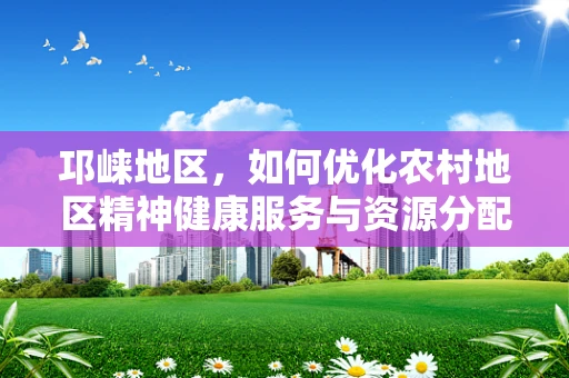 邛崃地区，如何优化农村地区精神健康服务与资源分配？