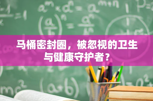 马桶密封圈，被忽视的卫生与健康守护者？