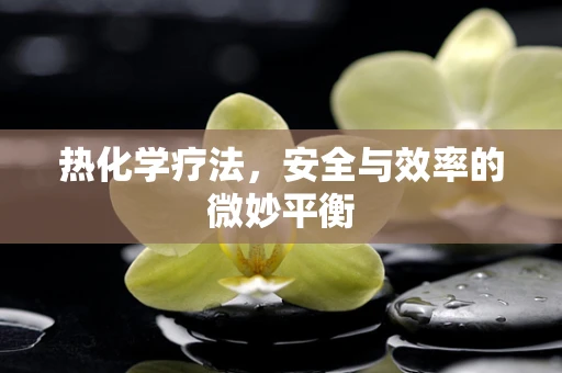 热化学疗法，安全与效率的微妙平衡