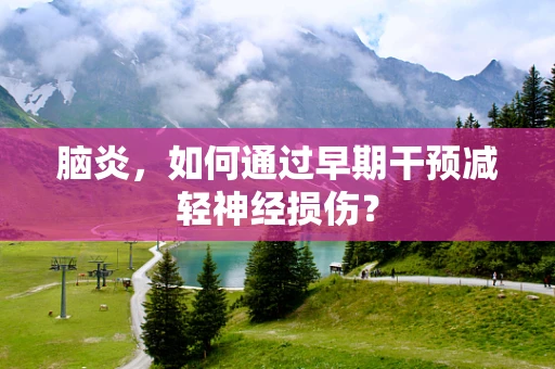 脑炎，如何通过早期干预减轻神经损伤？