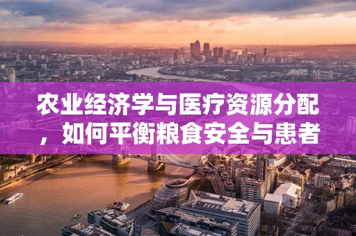 农业经济学与医疗资源分配，如何平衡粮食安全与患者治疗？