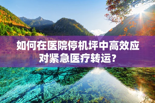如何在医院停机坪中高效应对紧急医疗转运？