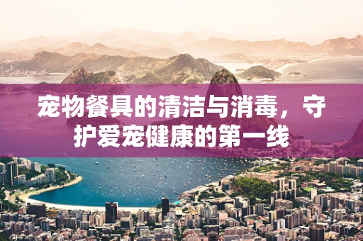 宠物餐具的清洁与消毒，守护爱宠健康的第一线