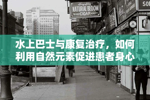 水上巴士与康复治疗，如何利用自然元素促进患者身心恢复？
