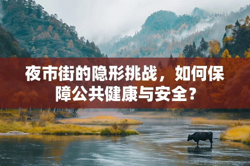 夜市街的隐形挑战，如何保障公共健康与安全？
