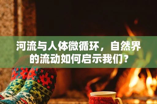 河流与人体微循环，自然界的流动如何启示我们？