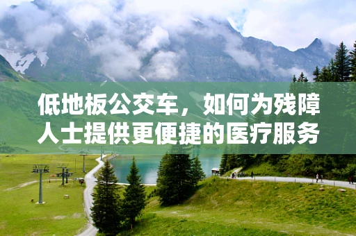 低地板公交车，如何为残障人士提供更便捷的医疗服务？