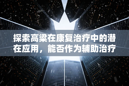 探索高粱在康复治疗中的潜在应用，能否作为辅助治疗手段？