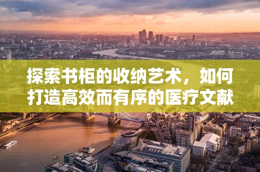 探索书柜的收纳艺术，如何打造高效而有序的医疗文献管理空间？