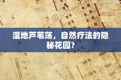 湿地芦苇荡，自然疗法的隐秘花园？