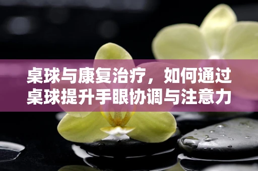 桌球与康复治疗，如何通过桌球提升手眼协调与注意力？