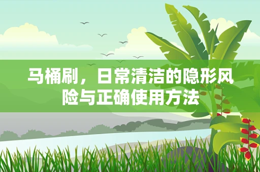 马桶刷，日常清洁的隐形风险与正确使用方法