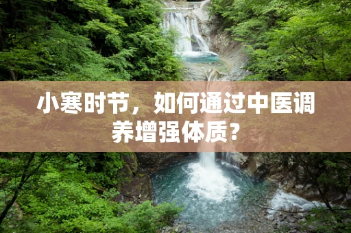 小寒时节，如何通过中医调养增强体质？