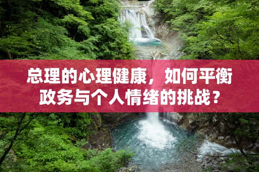 总理的心理健康，如何平衡政务与个人情绪的挑战？