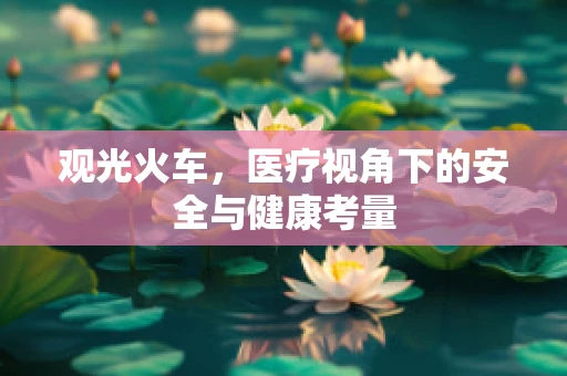 观光火车，医疗视角下的安全与健康考量